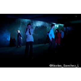 /web/photos/2013_Projet_IBSEN_sceno.png